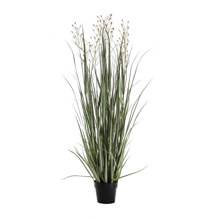 Artificial Potted Grass with Russet Heads - Large ( Due Back In 10/11/24 )