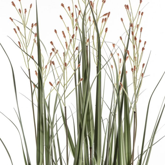 Artificial Potted Grass with Russet Heads - Large ( Due Back In 10/11/24 )