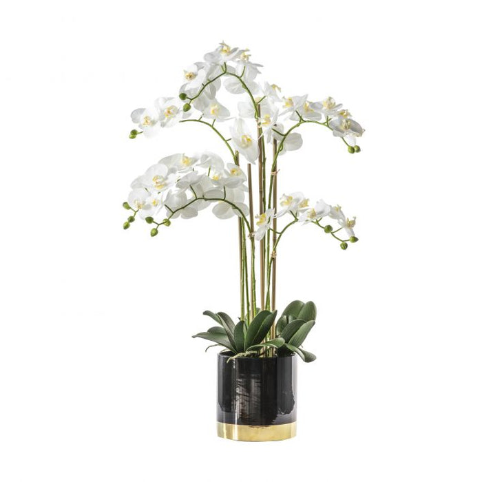 Artificial White Orchid in Black Pot