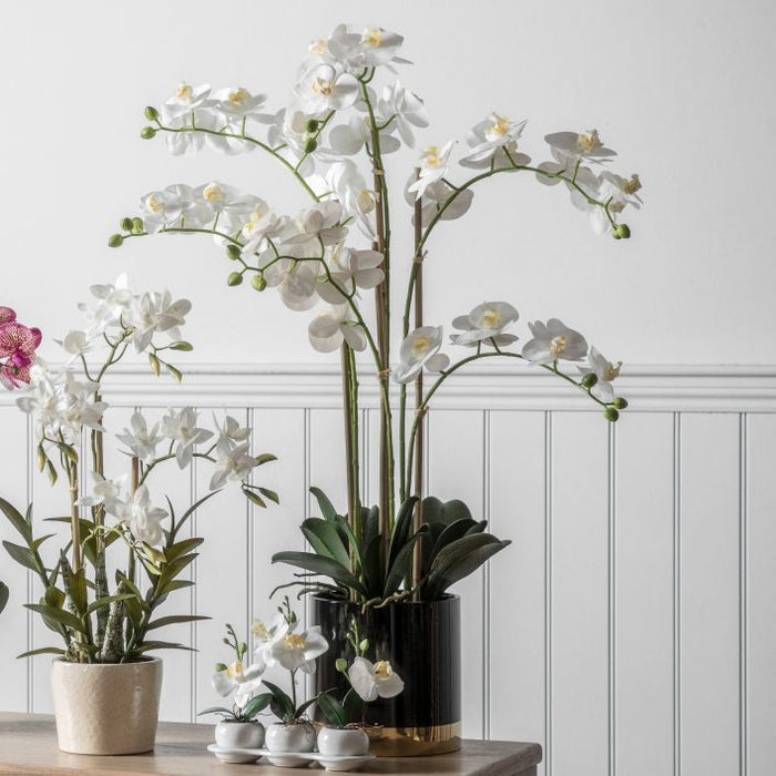 Artificial White Orchid in Black Pot