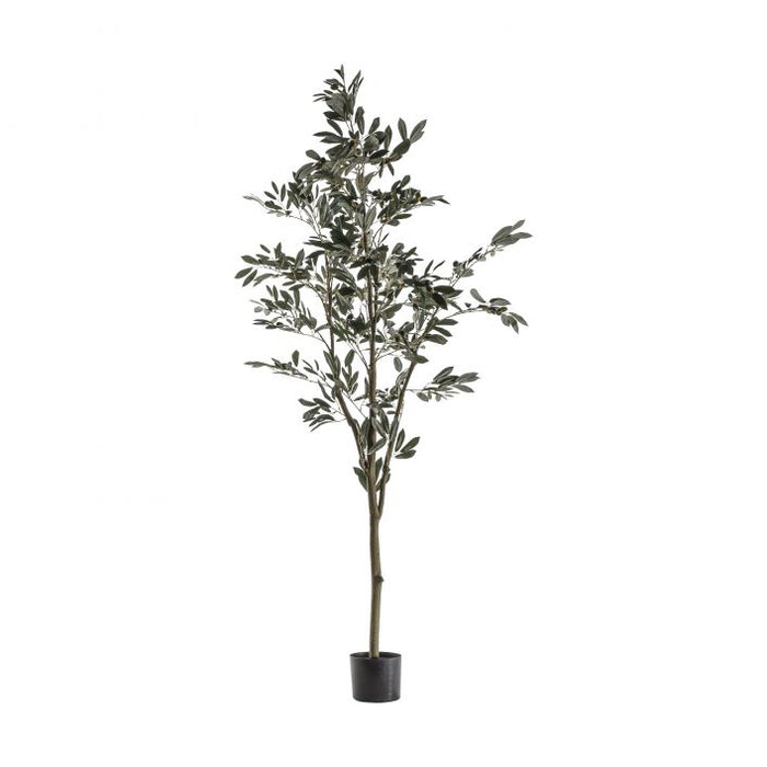 Large Artificial Indoor Olive Tree - 182cm