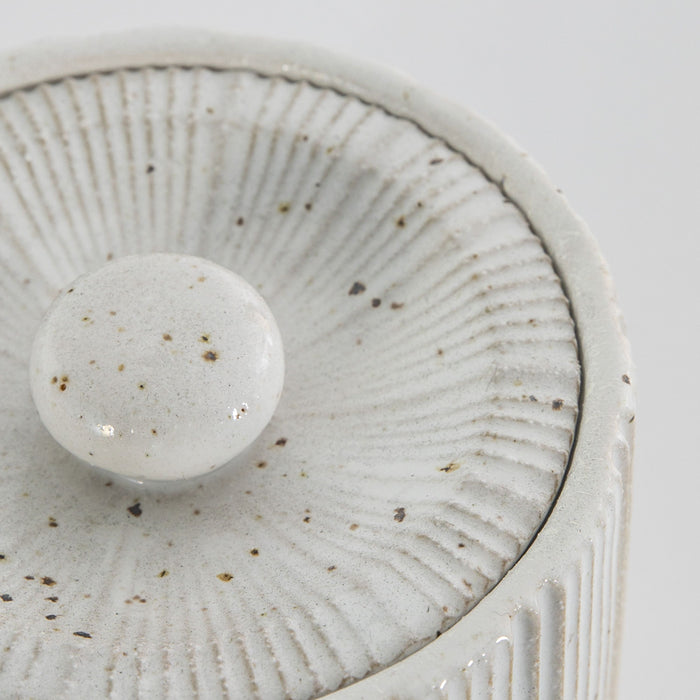 Amelia Decorative Ceramic Jar With Lid In White