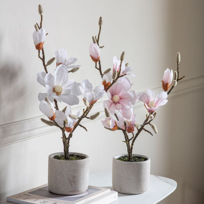 Artificial Potted Magnolia Plant ( Due Back In 18/12/24 )