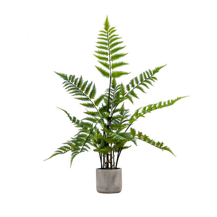 Artificial Potted Fern in Cement Pot - Small ( Due Back In 10/11/24 )