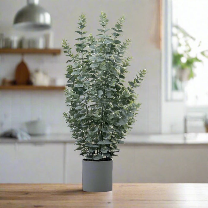 Artificial Potted Eucalyptus Bush - Medium ( Due Back In 04/11/24 )