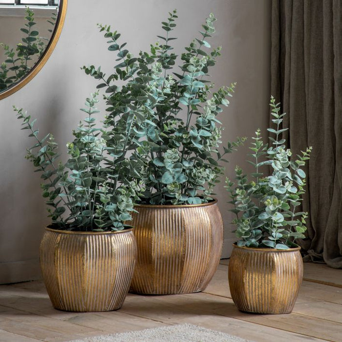 Artificial Potted Eucalyptus Bush - Medium ( Due Back In 04/11/24 )