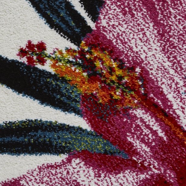 Botanic Multicolored Living Room Rug