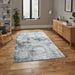 Contemporary Grey Distressed Area Rug – Elegant Textured Design for Living Spaces – Multiple Sizes