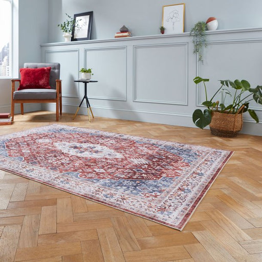 Classic Red Medallion Area Rug – Vintage-Inspired Distressed Design – Multiple Sizes