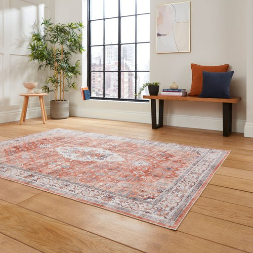 Vintage Terra Medallion Area Rug – Distressed Classic Design – Multiple Sizes