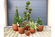 Outdoor Garden Planters, Terracotta Clay, Round, Set Of 6