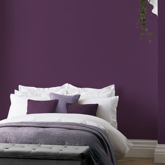 Graham & Brown Paint - Damson in Distress