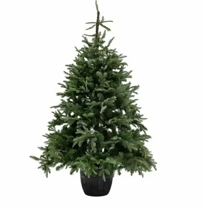 Greenery Artificial Christmas Tree 7ft