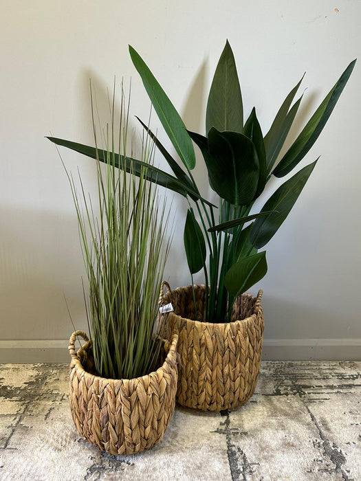 Straw Basket, Planters, Set Of 2