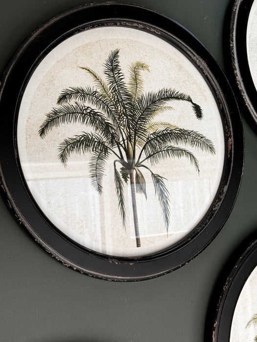 Round Framed Botanical Wall Art - Set of 4 (Due Back In 11/10/24)