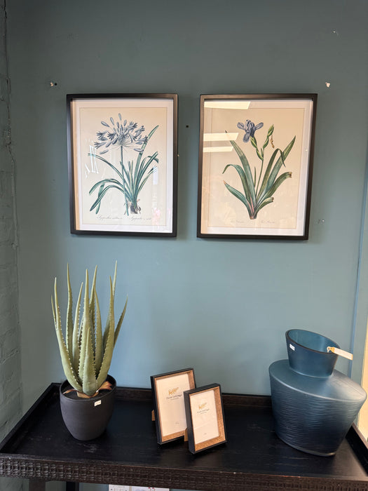 Set of 2 Iris and Agapanthus Botanical Wall Art Prints - 50cm