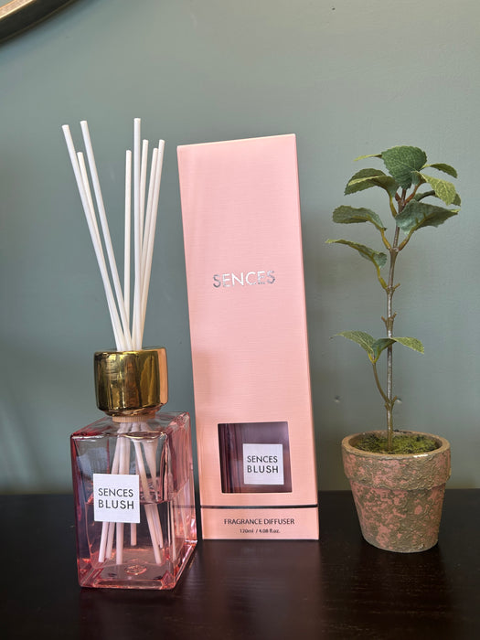 Sences Blush Mini Reed Diffuser - Rose Fragrance - 120ml