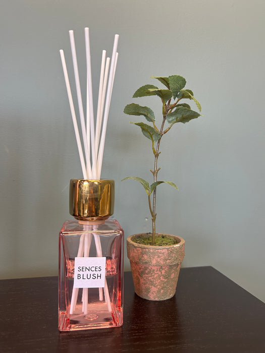 Sences Blush Mini Reed Diffuser - Rose Fragrance - 120ml