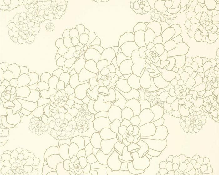 Paint & Paper Library - Aeonium Wattle