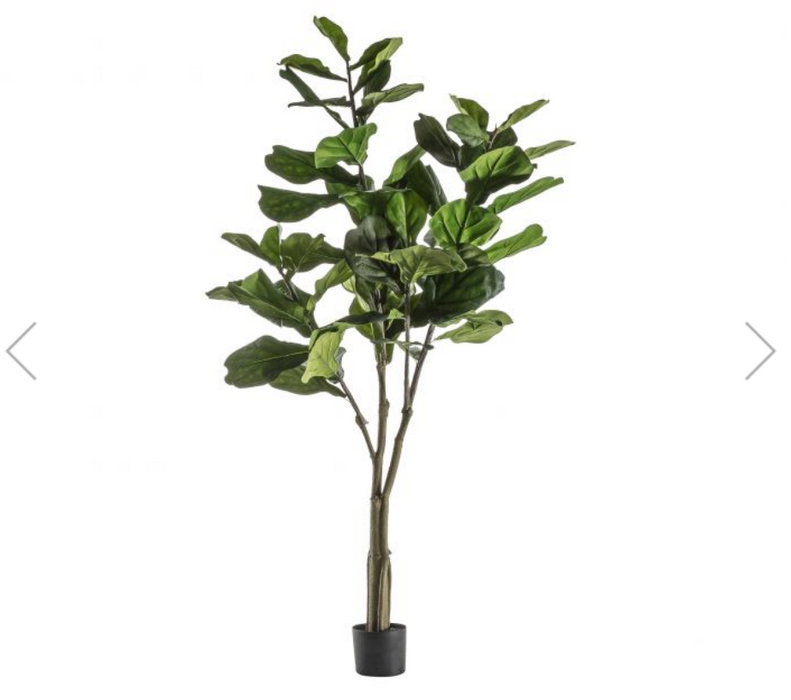 Large Artificial Indoor Fiddle Tree