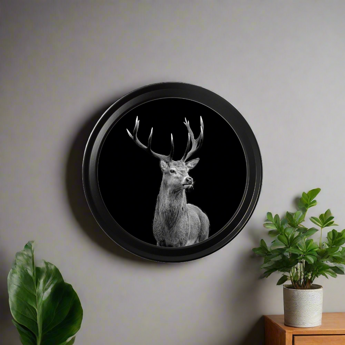 Wildlife Photography Wall Art, Red Deer, Round Black Frame, 70 cm