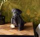 Pug Puppy Matte Black Finish Table Lamp 