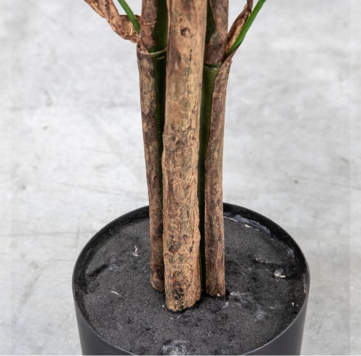 Artificial Chinese Fan Palm, Pot