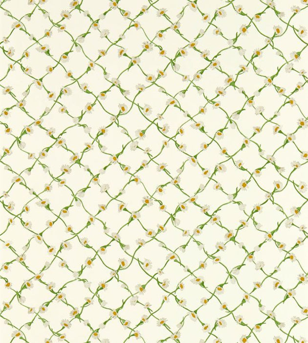 Daisy Trellis Wallpaper by Harlequin