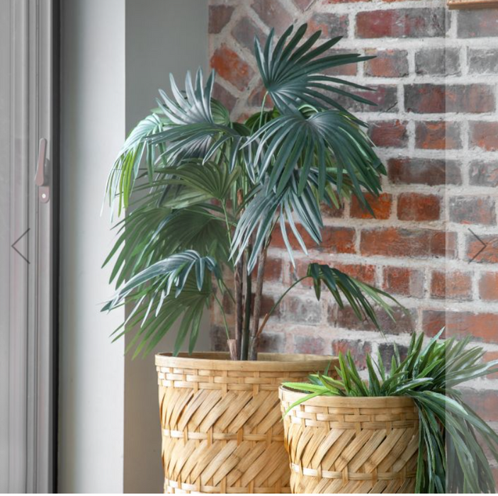 Artificial Chinese Fan Palm Floor Plant - Small