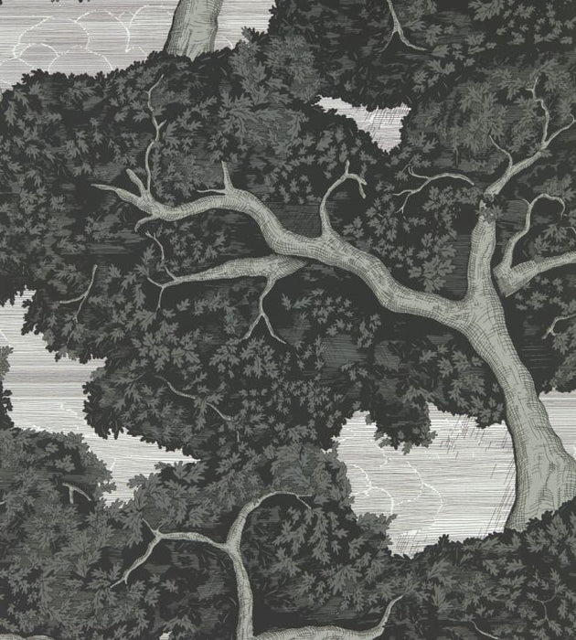 Eternal Oak Wallpaper by Harlequin