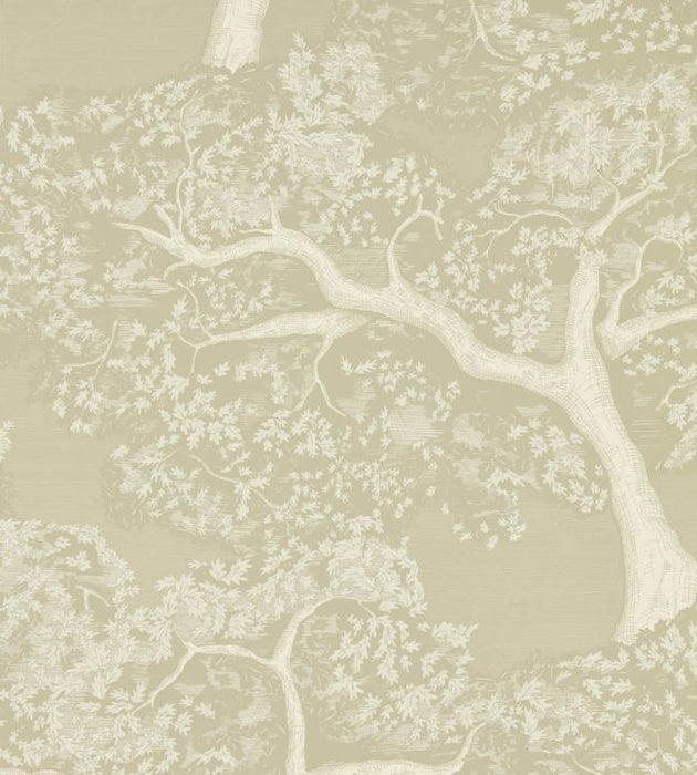 Eternal Oak Wallpaper by Harlequin