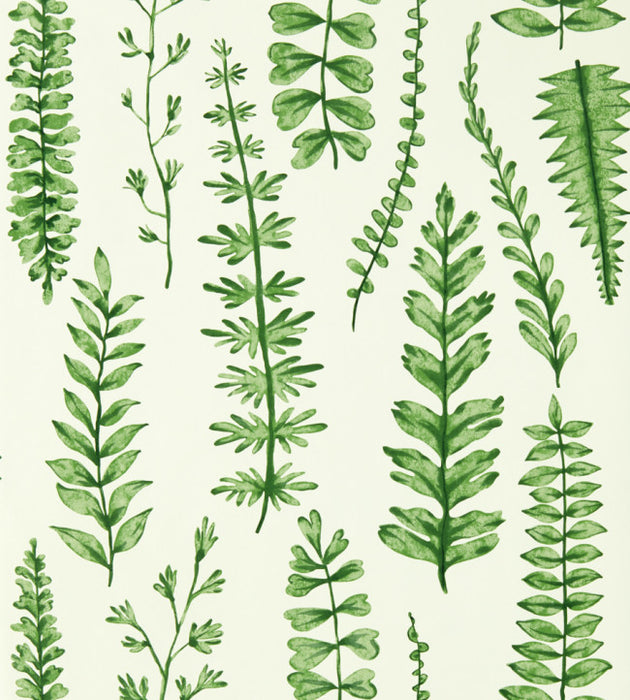 Ferns by Scion Wallpaper - 1 Colours Available
