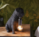 Pug Puppy Matte Black Finish Table Lamp 