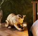 Kitten Vintage Gold Table Lamp 