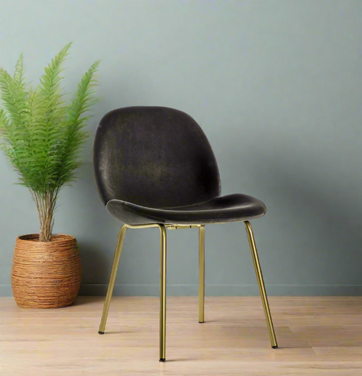 Ashford Dining Chair in Chocolate Brown Velvet &amp; Gold Metal Legs (Set of 2)