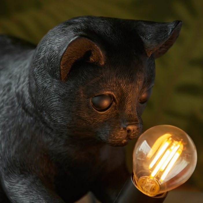 Adorable Black Kitten Table Lamp ( Due Back In 23/01/25 )