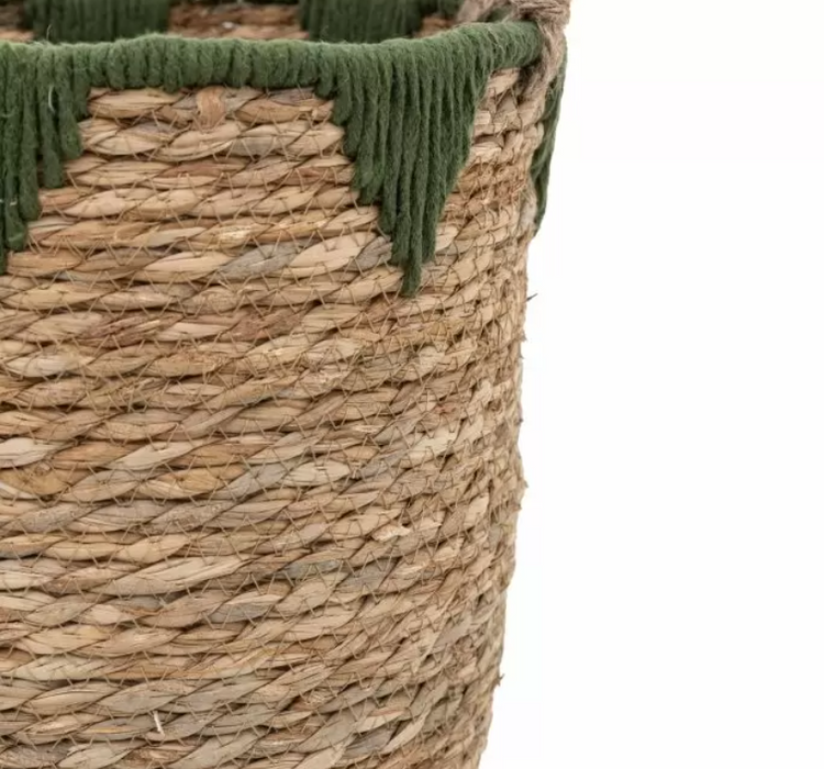 Elgon Natural & Green Baskets Set of 3 ( Due In 18/11/24 )