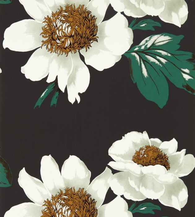 Paeonia Wallpaper by Harlequin