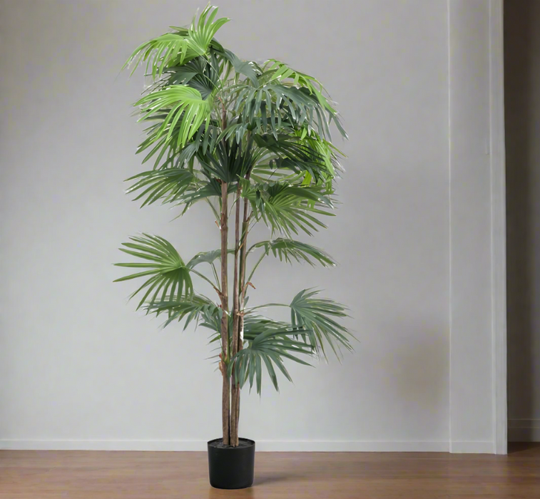 Artificial Chinese Fan Palm Floor Plant - Large