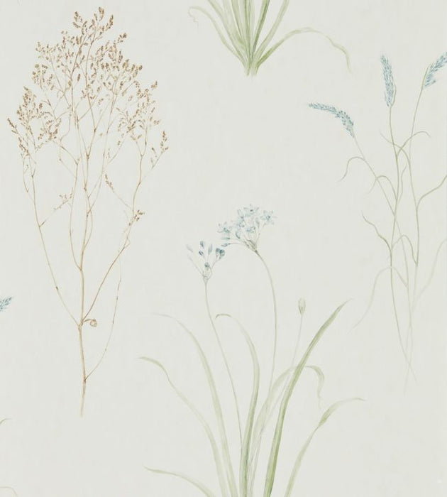 Farne Grasses Wallpaper by Sanderson