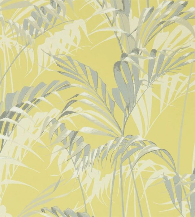 Palm House Wallpaper by Sanderson