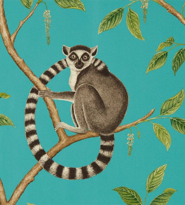 Ringtailed Lemur Wallpaper by Sanderson