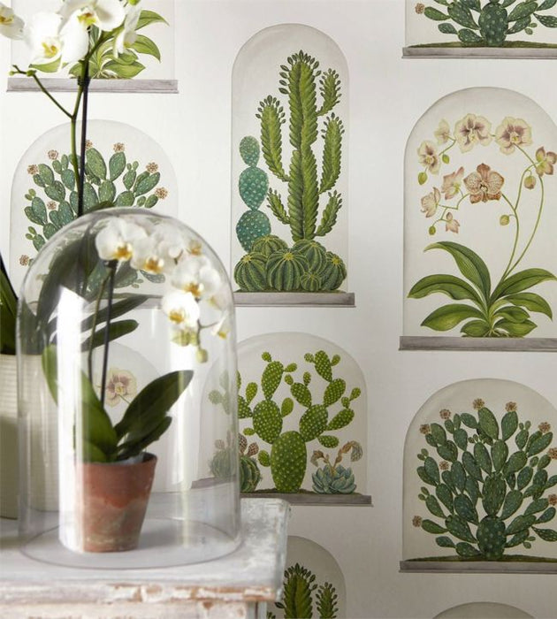 Terrariums Wallpaper by Sanderson