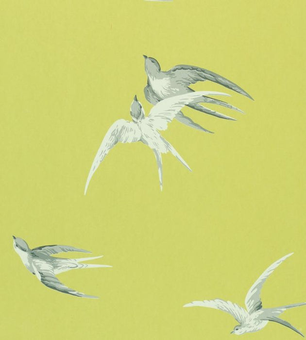 Swallows Wallpaper by Sanderson