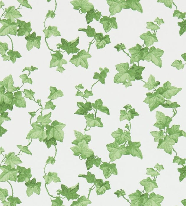 Hedera Wallpaper by Sanderson