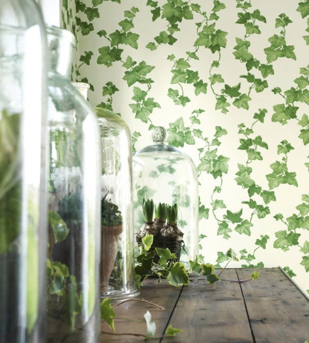 Hedera Wallpaper by Sanderson