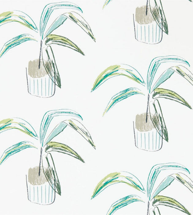 Crassula by Scion Wallpaper - 4 Colours Available