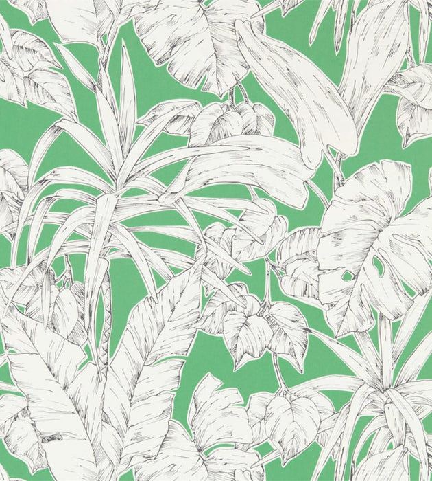 Parlour Palm by Scion Wallpaper - 5 Colours Available