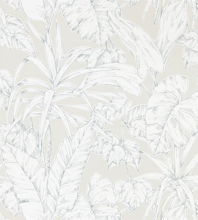 Parlour Palm by Scion Wallpaper - 5 Colours Available