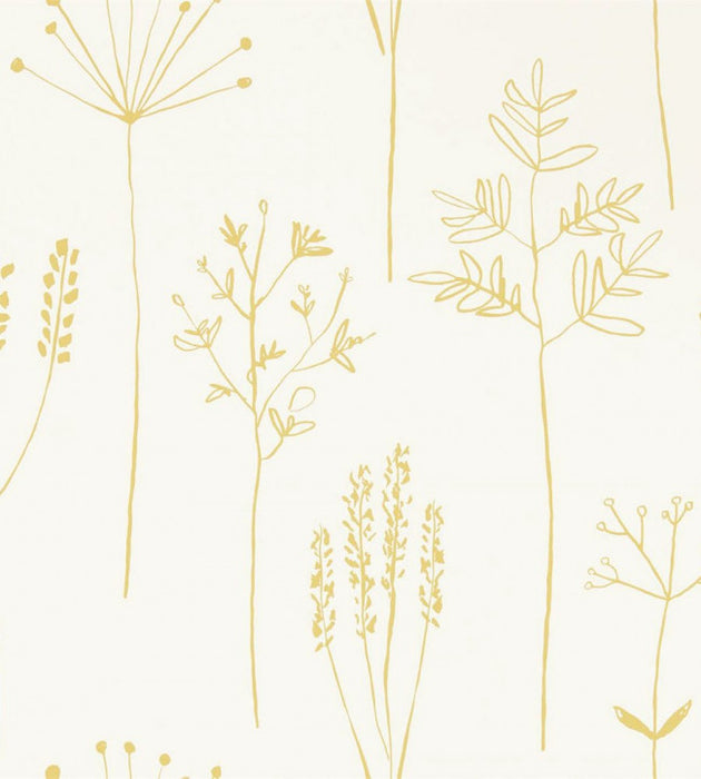 Stipa by Scion Wallpaper - 3 Colours Available